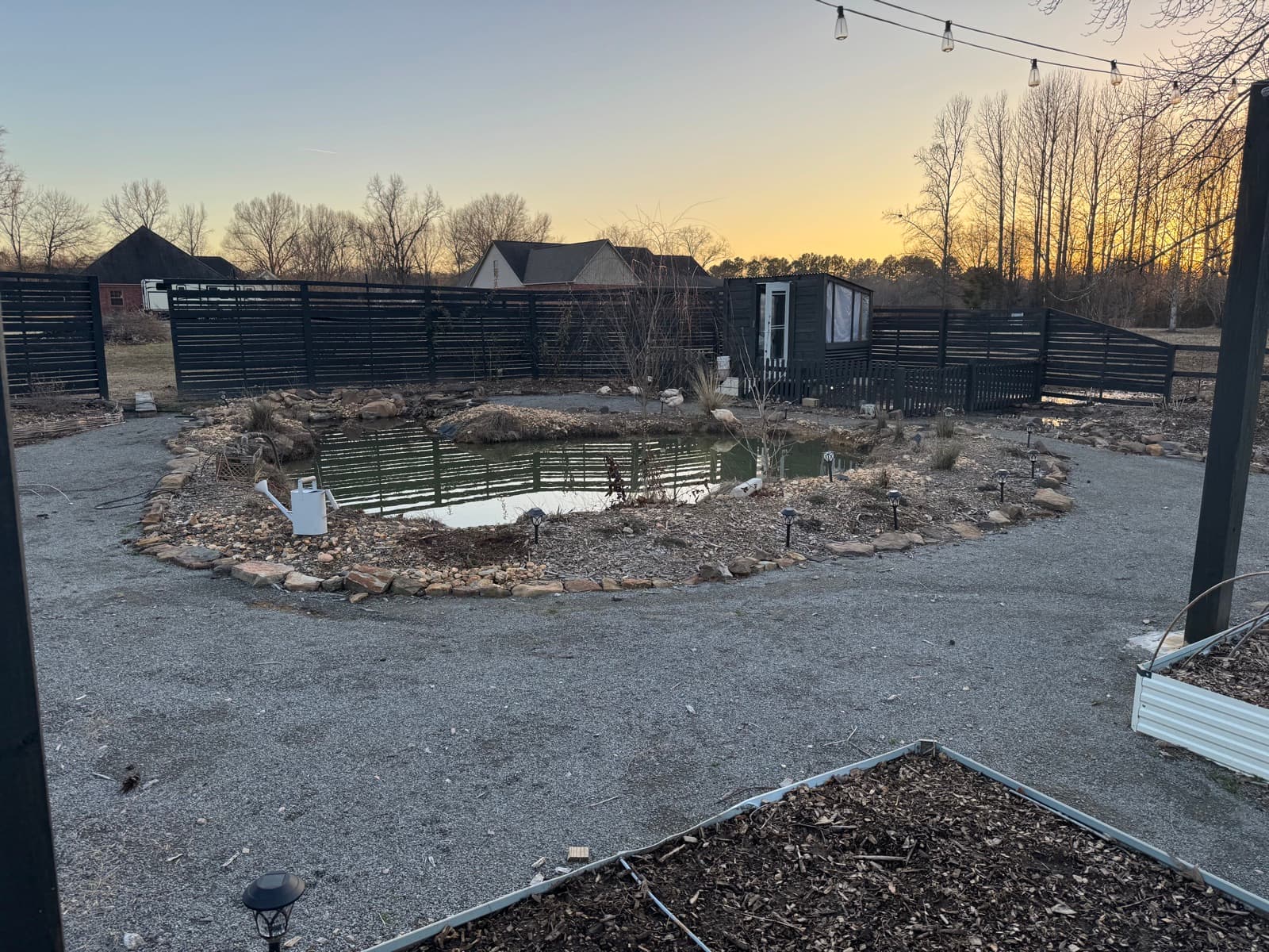 Taylor's Field at sunset with string lights
