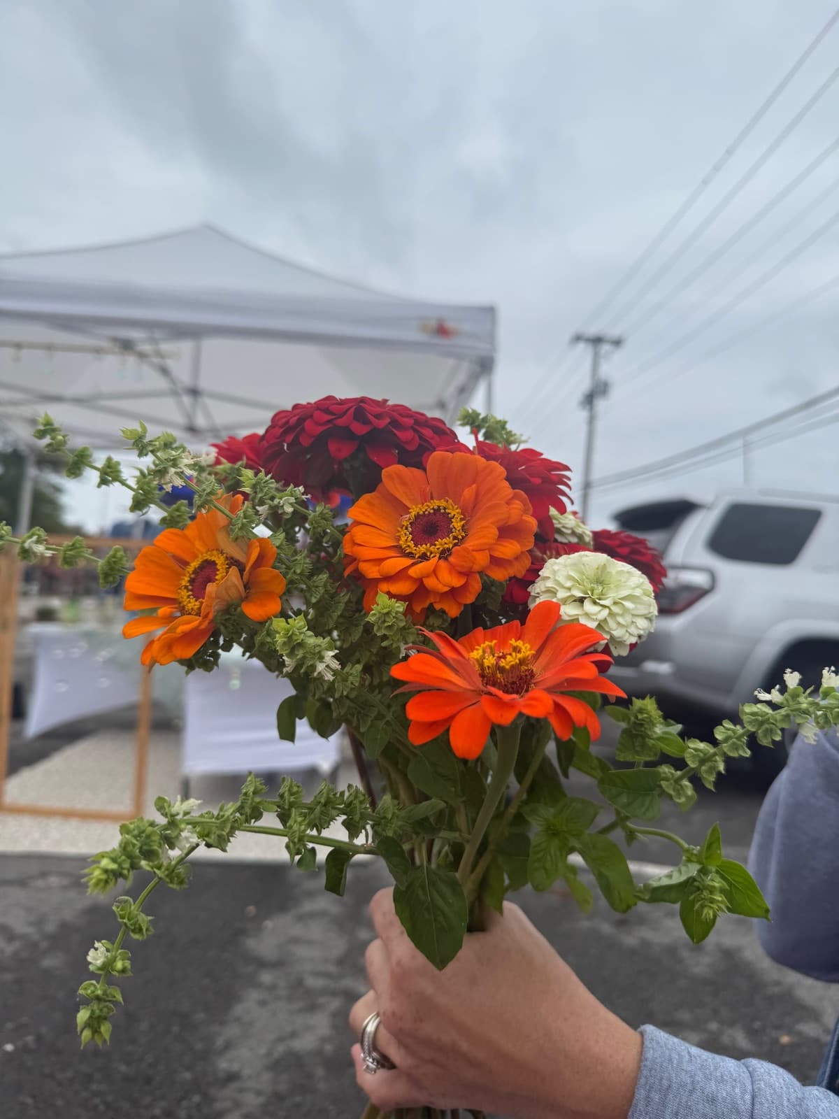 Premium bouquet of orange zinnias