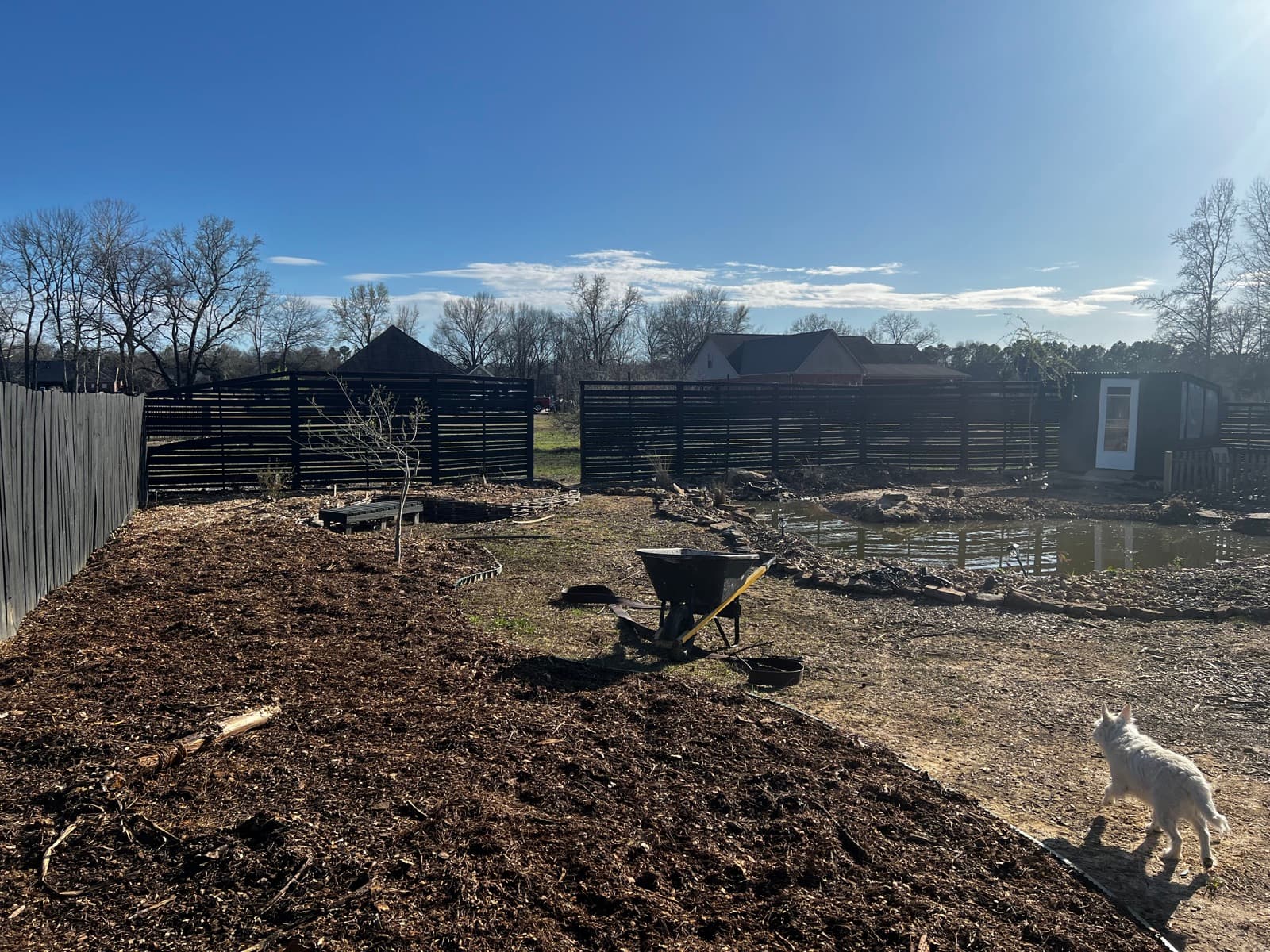 Early days of building the farm with wheelbarrow and mulch